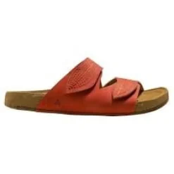 El Naturalista N5793 Balance